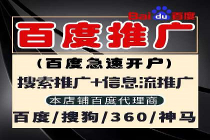 落地页在SEM优化中的重要性及成功案例
